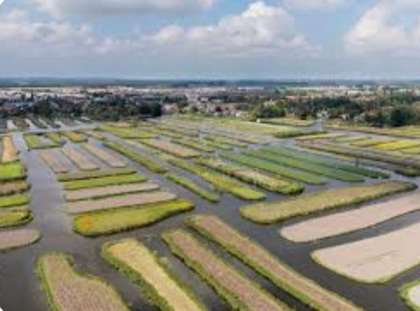 Huisje Britt Met Grote Tuin En Veel Privacy Dirkshorn ภายนอก รูปภาพ